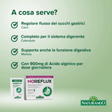 NoReflux