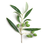 Cleansing Creamy Foam – Face & Eyes