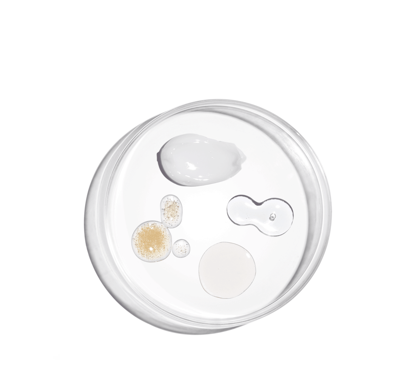 Ordinary The Bright Set - Halsa