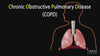 NL100 Piston Nebulizer