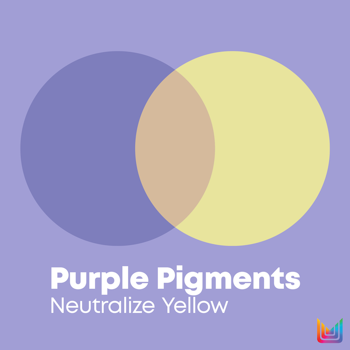 So Silver Purple Shampoo for Blonde and Silver Hair