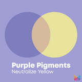 So Silver Purple Shampoo for Blonde and Silver Hair