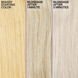 Redken Color Extend Blondage Shampoo