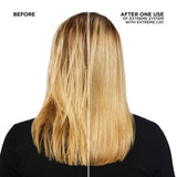 Redken Extreme CAT Treatment