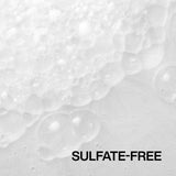 Redken Frizz Dismiss Shampoo