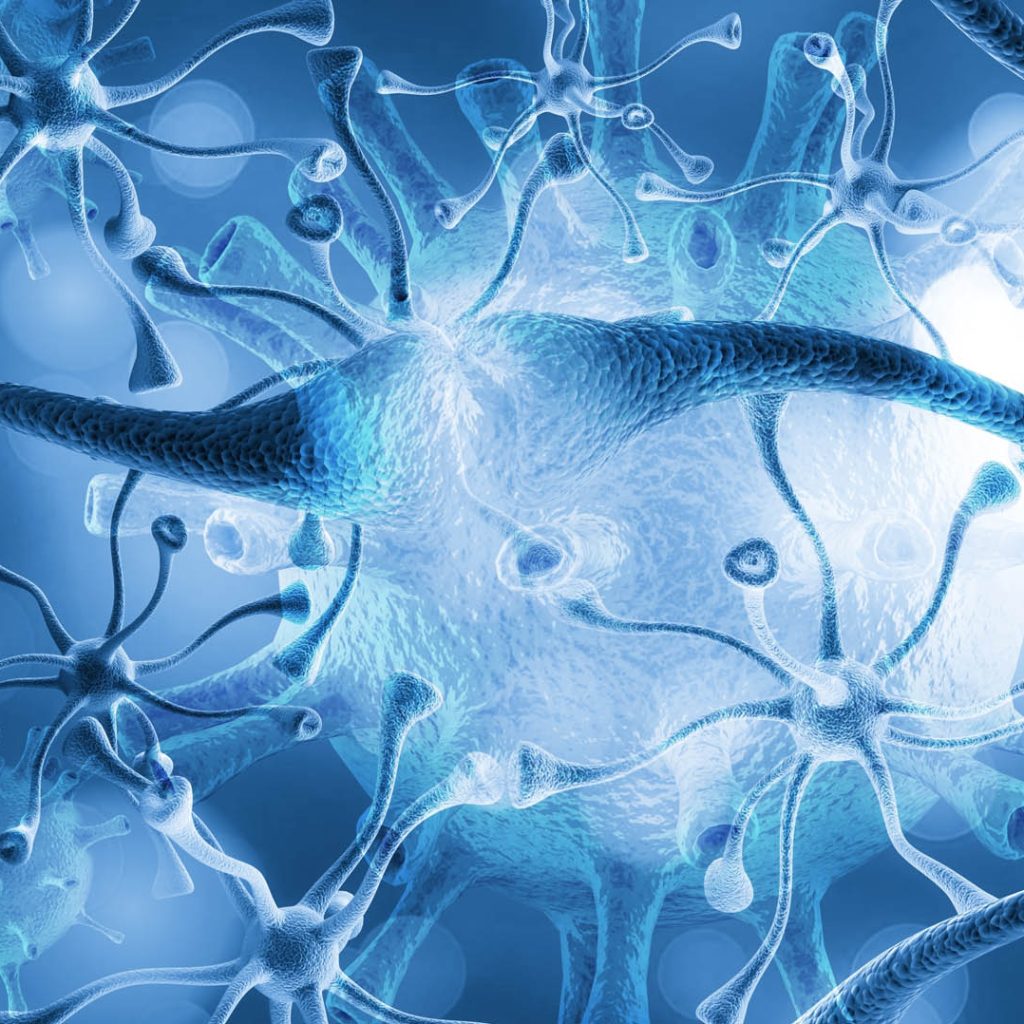 Sagas Rc 02 Normal Homocysteine Metabolism
