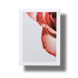 Apothecary Wild Rose Spotless Serum