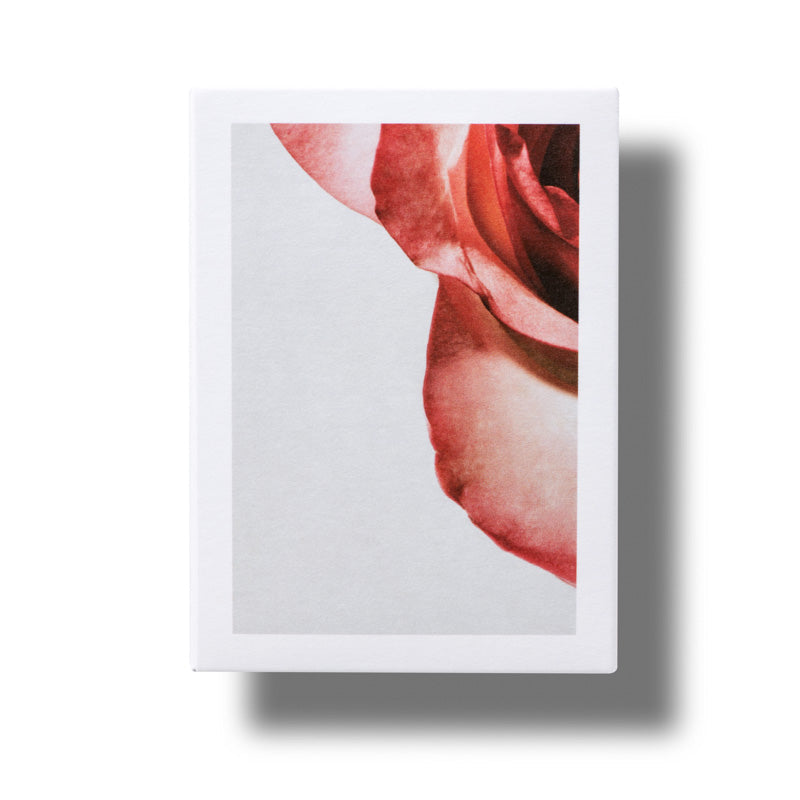 Apothecary Wild Rose Spotless Serum