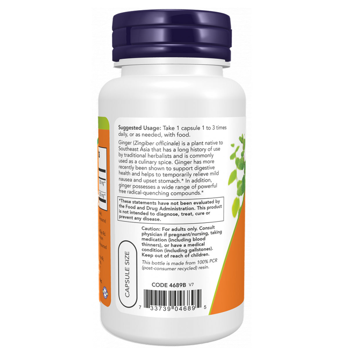 Ginger Root Extract 250 mg Veg Capsules