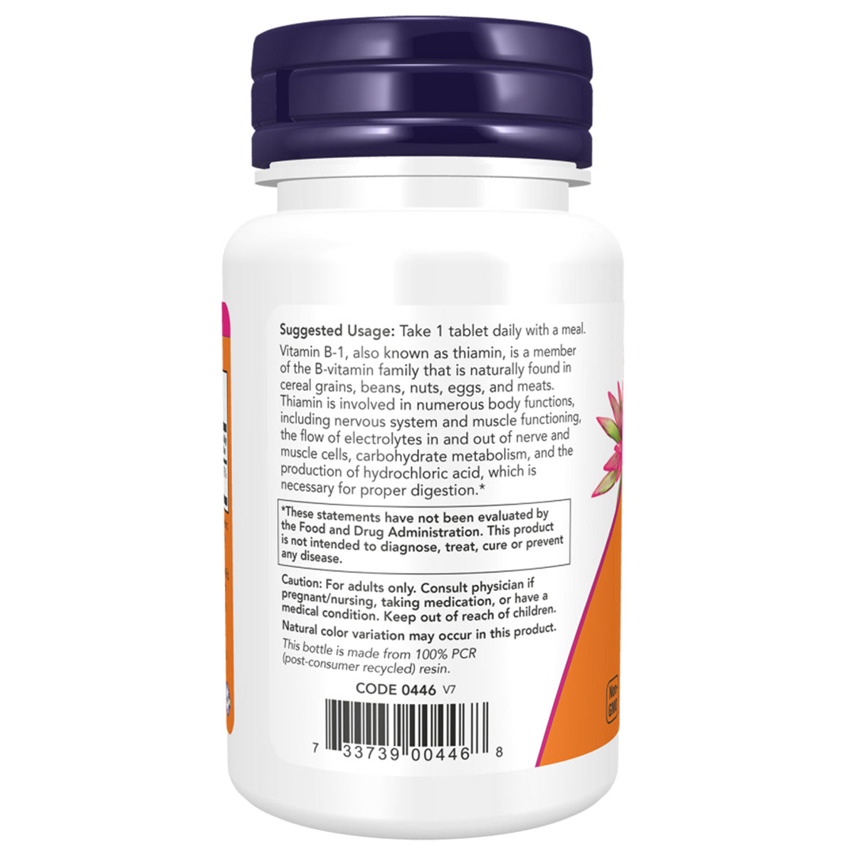 Vitamin B-1 100 mg Tablets